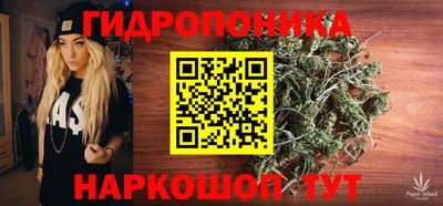 прущие грибы Берёзовский