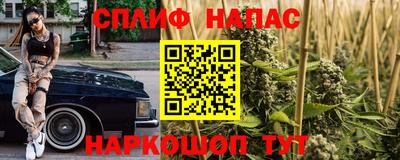 соль ск Бийск