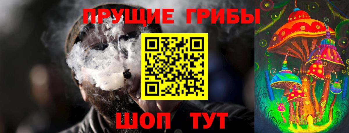 Галлюциногенные грибы Cubensis  Вход с VPN  Жуковский 