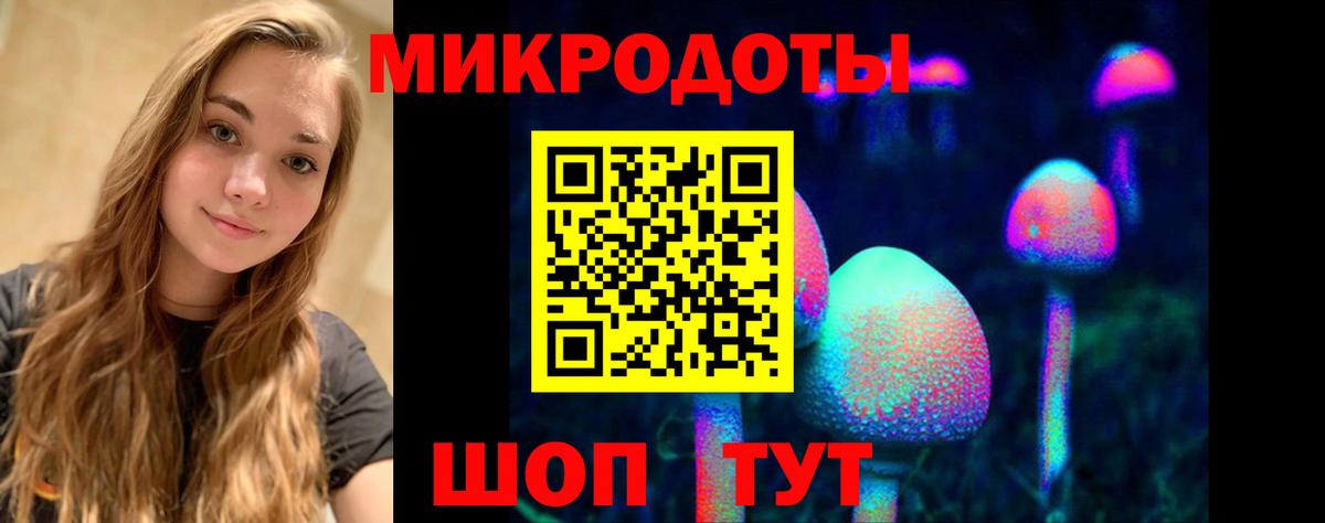Псилоцибиновые грибы GOLDEN TEACHER Жуковский
